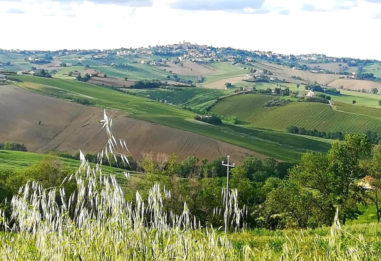 Belvedere OstrenseLa Collina Dei Cavalieri别墅 外观 照片