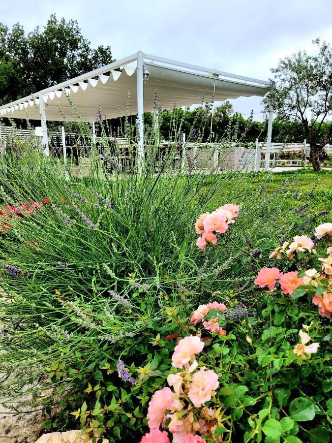 Belvedere OstrenseLa Collina Dei Cavalieri别墅 外观 照片