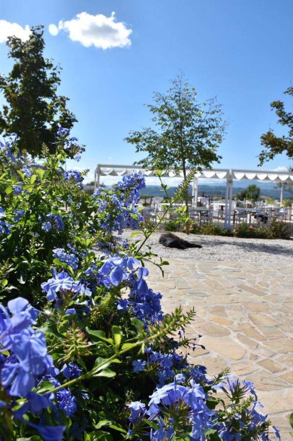 Belvedere OstrenseLa Collina Dei Cavalieri别墅 外观 照片